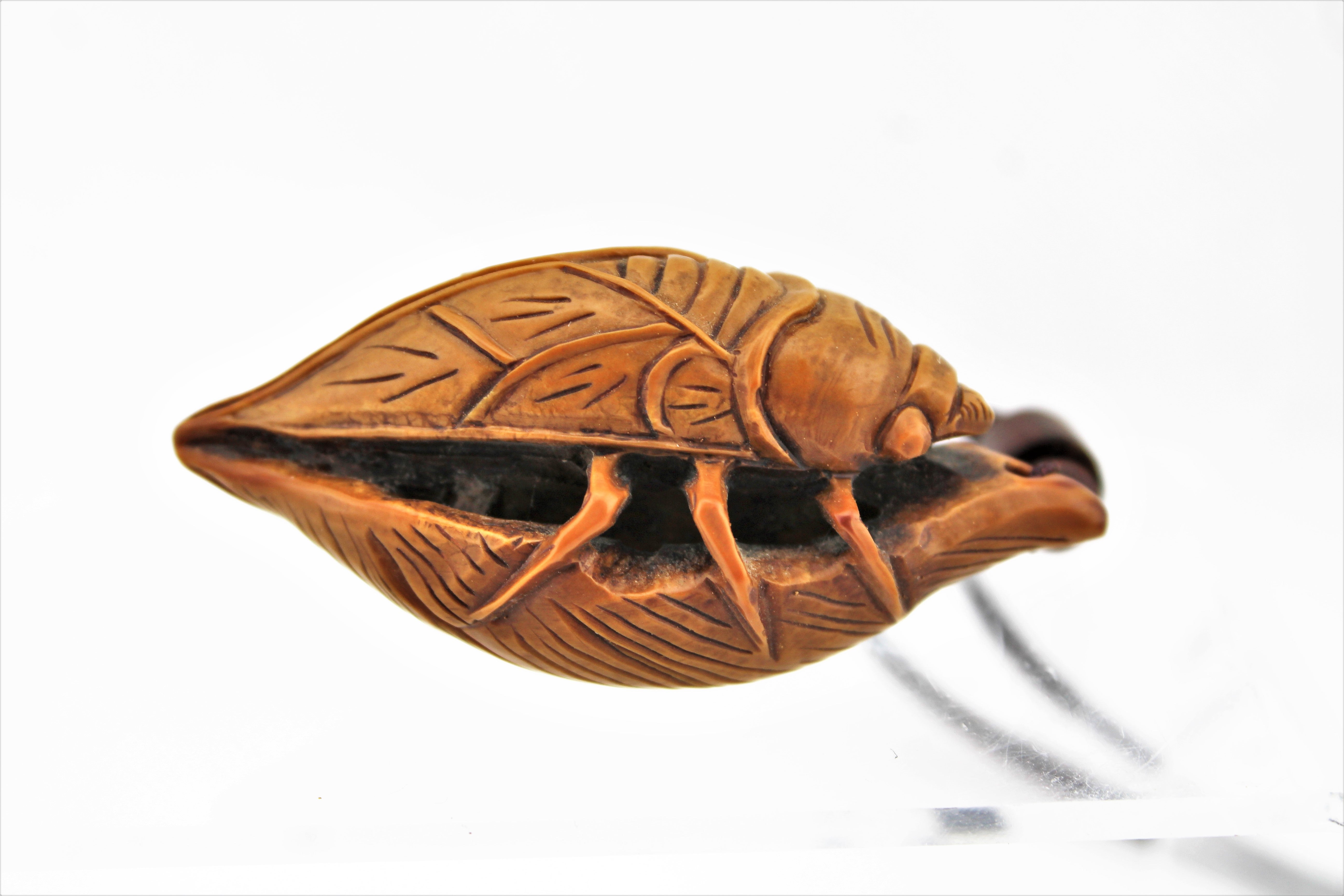 Carved Cicada Pendant
